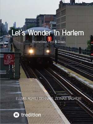 cover image of Let's Wonder In Harlem